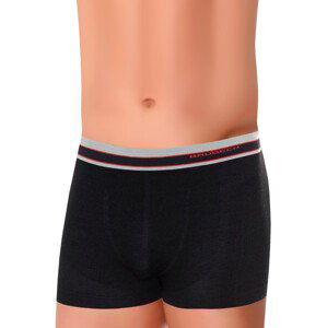 Pánské boxerky Active Wool BX10870M BRUBECK Barva/Velikost: černá / M/L