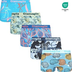 5-PACK Dámských nižších boxerek 8806 Gianvaglia Barva/Velikost: Mix barev viz foto / M/L