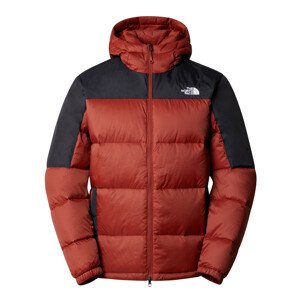 The North Face M DIABLO DOWN HOODIE Pánská bunda US L NF0A4M9LWEW1