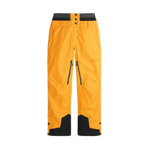 Picture Exa 20/20 Dámské lyžařské kalhoty US L WPT104-AUTUMN BLAZE