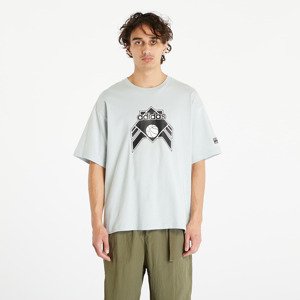 adidas Originals Graphic Tee Wonder Silver