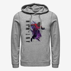 Queens Marvel Avengers: Endgame - Ant-Man Painted Unisex Hoodie Heather Grey