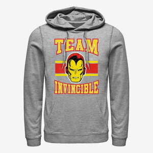 Queens Marvel Avengers Classic - Team Invincible Unisex Hoodie Heather Grey