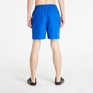 Nike Essential 7 Volley Short Game Royal