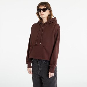 Nike Sportswear Modern Fleece Women's Oversized French Terry Hoodie Earth/ Plum Eclipse