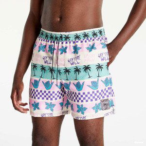 Vans x Stranger Things California Striped Shorts Vícebarevné