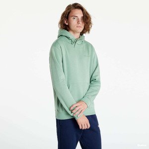 Champion Hooded Sweatshirt Green