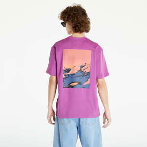 Tričko s krátkým rukávem The North Face Graphic T-Shirt 3 Purple Cactus Flower