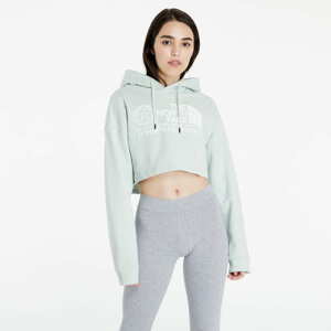 Dámská mikina The North Face Coordinates Hoodie Green Mist