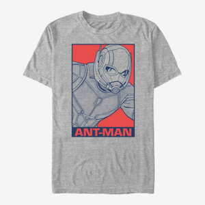 Queens Marvel Avengers: Endgame - Pop Ant Men's T-Shirt Heather Grey