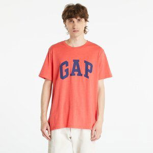 GAP V-Basic Logo T Hula Red