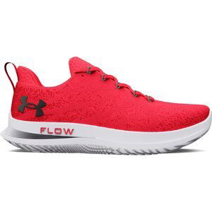 Under Armour W Velociti 3 Beta