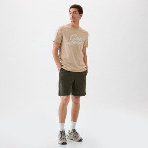 GAP Graphic Logo Tee Bedrock 291