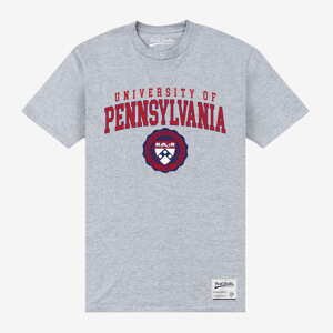 Queens Park Agencies - University Of Pennsylvania Unisex T-Shirt Sport Grey