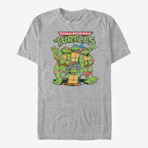 Queens Nickelodeon Teenage Mutant Ninja Turtles - Turtle Group Unisex T-Shirt Heather Grey