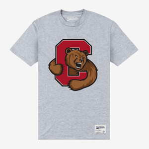 Queens Park Agencies - Cornell University Bear Unisex T-Shirt Sport Grey